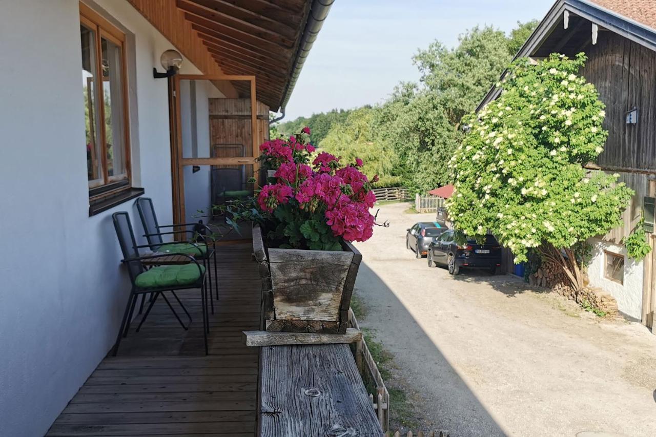 Green Hills Appaloosa Ranch Waakirchen エクステリア 写真